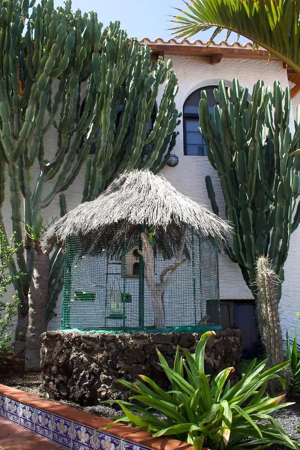 Miramar Boutique Apartments Adults Only Corralejo